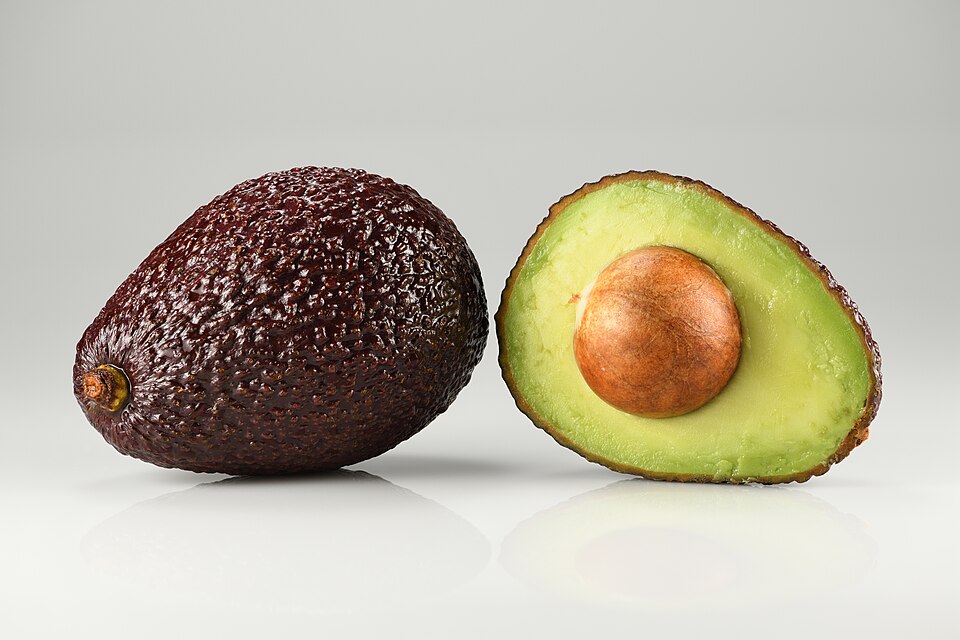 Freshly harvested Hass avocados in a crate at the HOC packhouse