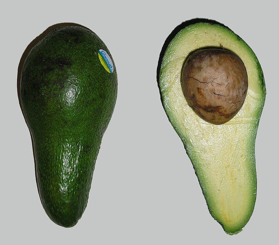 HOC avocado boxes packed for dispatch